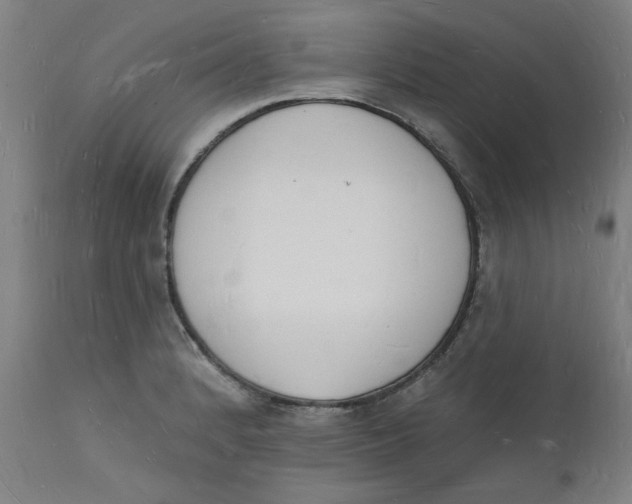 X0000112141184200908281310