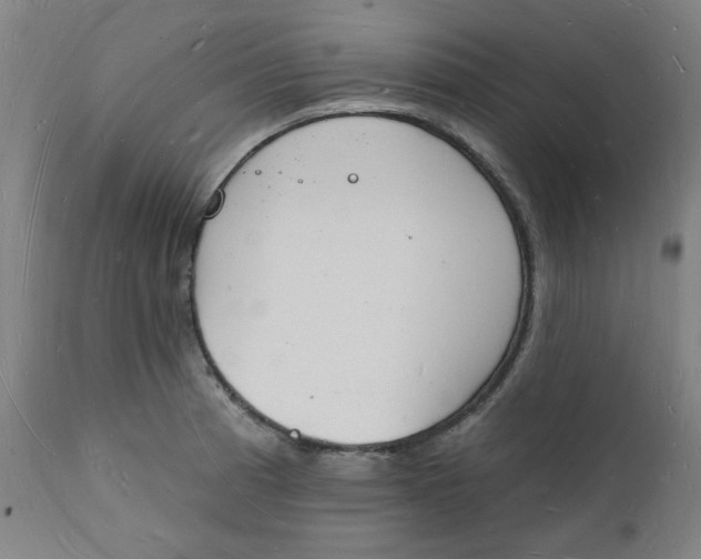 X0000112141185200908281310