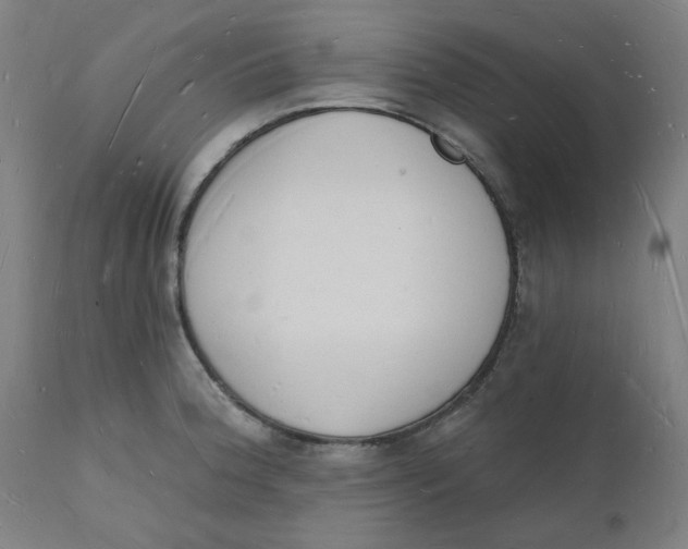 X0000112141188200908281309