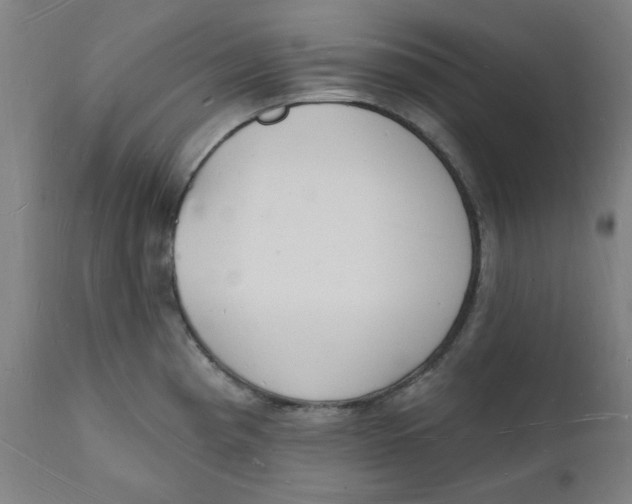 X0000112141193200908281309