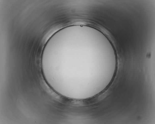 X0000112141194200908281309