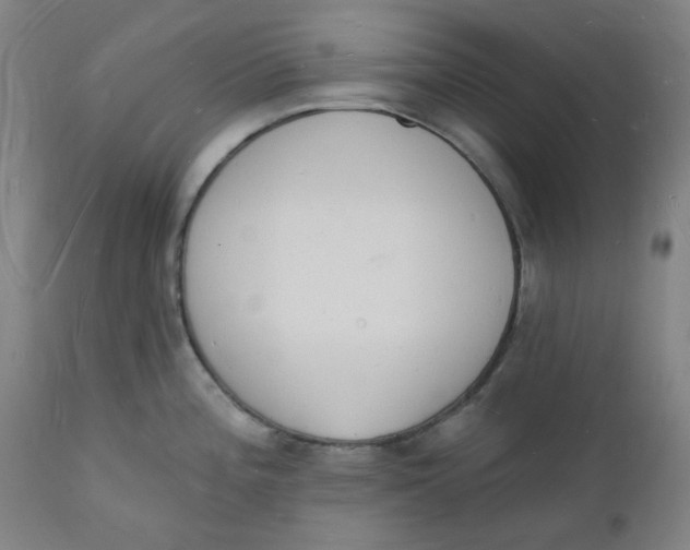 X0000112141196200908281309