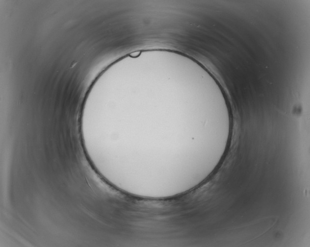 X0000112141197200908281309