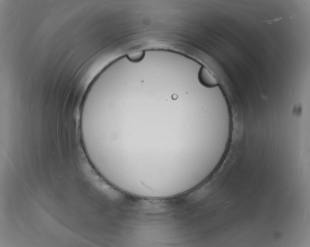 X0000112141198200908281309