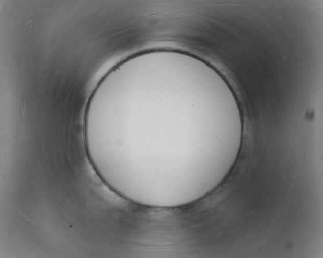 X0000112141199200908281309