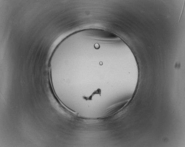 X0000112141200200908281309