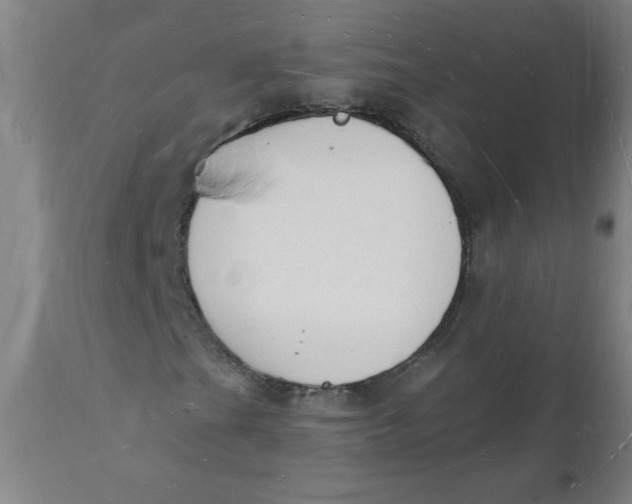 X0000112141201200908281309