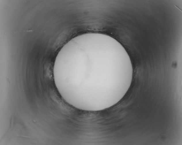 X0000112141202200908281309