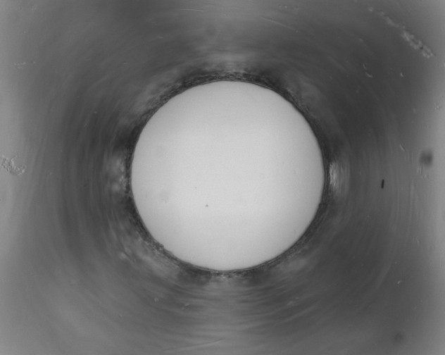 X0000112141203200908281309