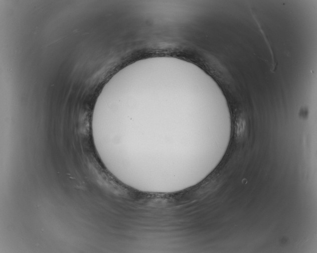 X0000112141204200908281309