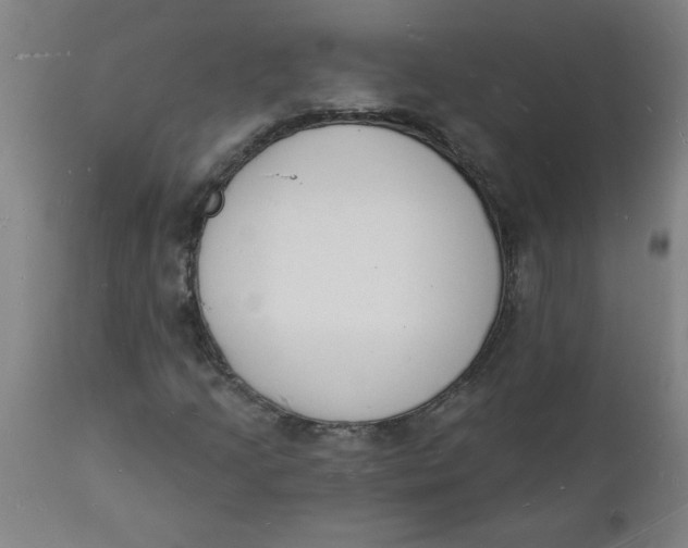 X0000112141205200908281309