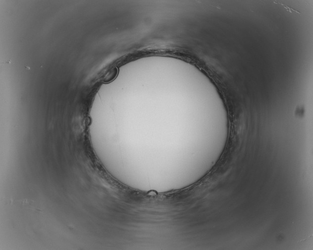 X0000112141206200908281309