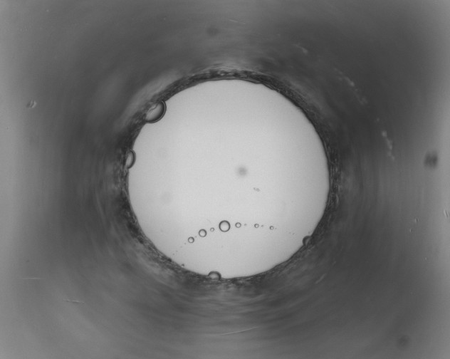 X0000112141207200908281309