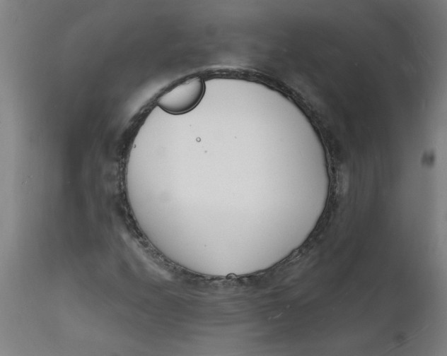 X0000112141208200908281309