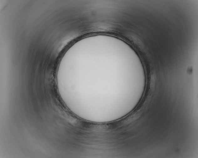 X0000112141210200908281309