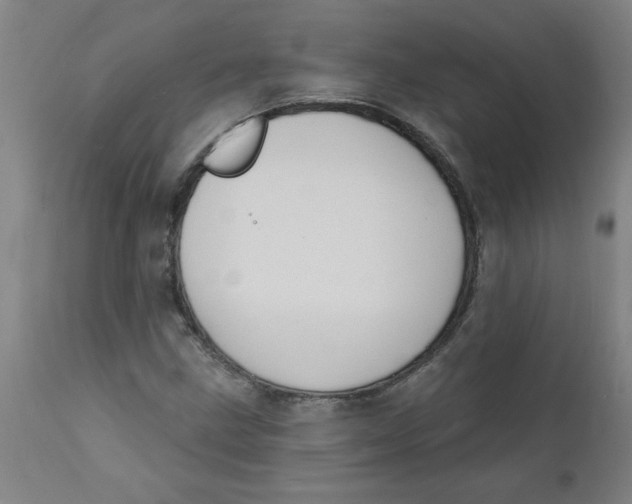 X0000112141211200908281309