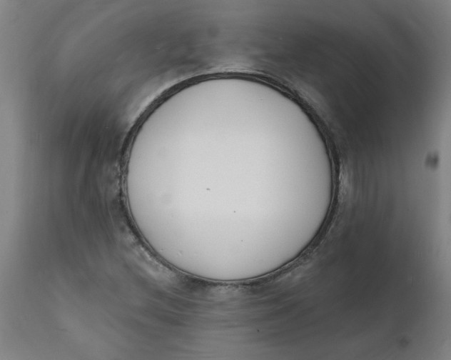 X0000112141212200908281309