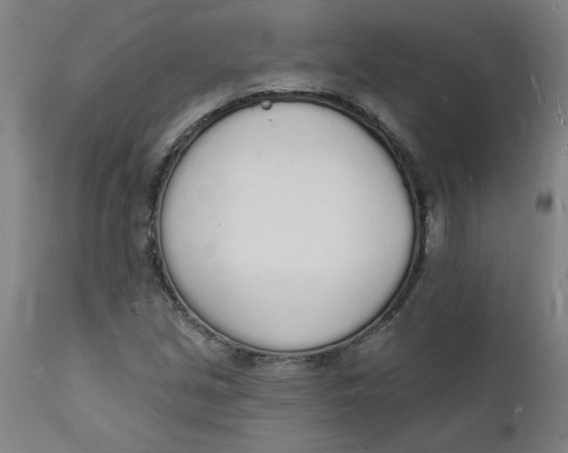 X0000112141213200908281309