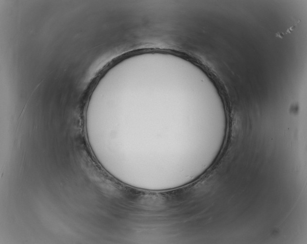 X0000112141215200908281309