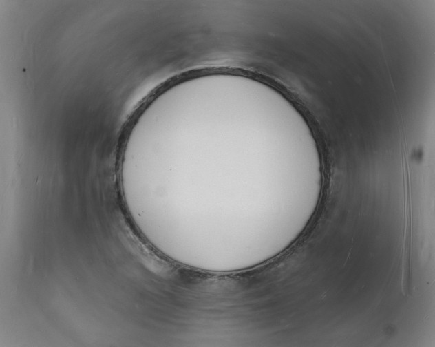 X0000112141216200908281309