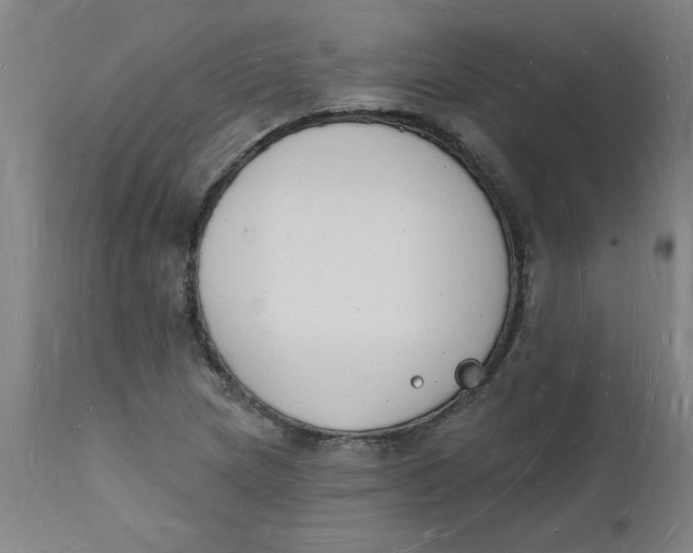 X0000112141217200908281309