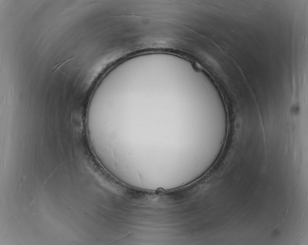 X0000112141218200908281309