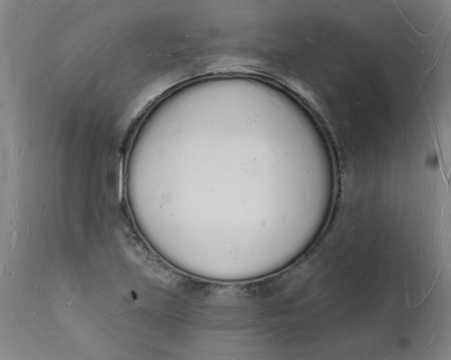 X0000112141219200908281309