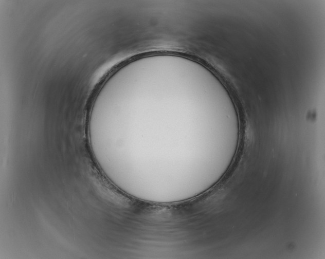 X0000112141222200908281309