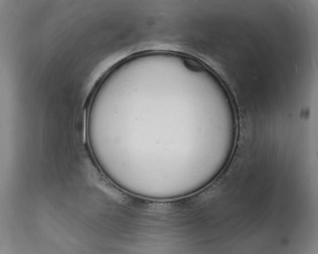 X0000112141223200908281309