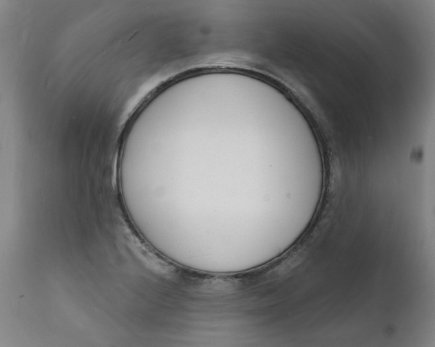 X0000112141224200908281309