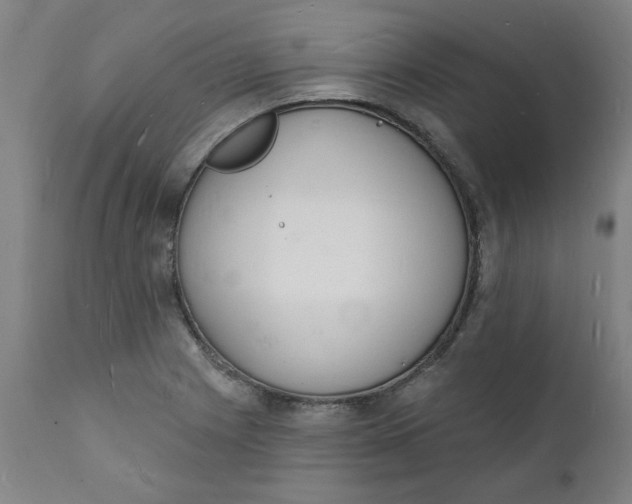 X0000112141225200908281309