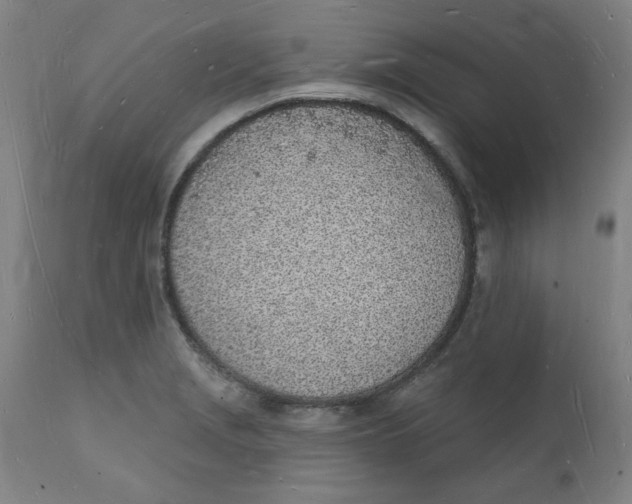 X0000112141229200908281309