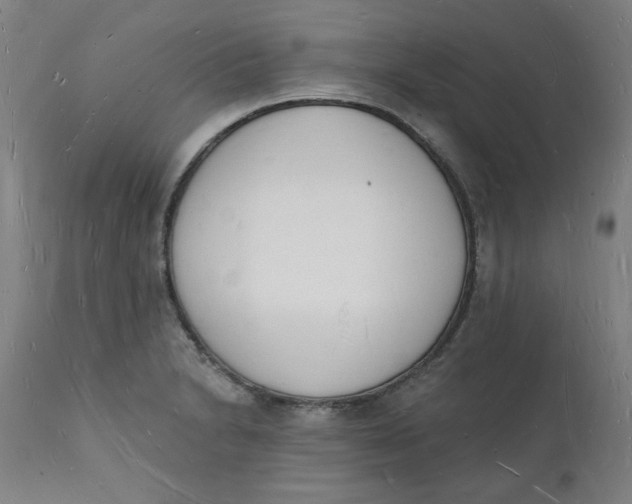 X0000112141230200908281309