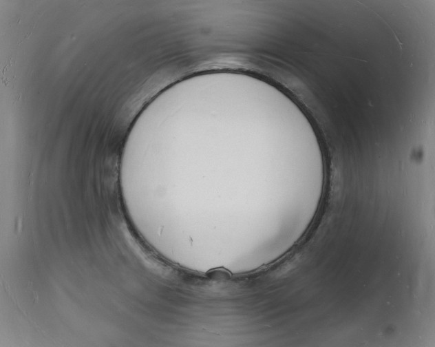 X0000112141233200908281309