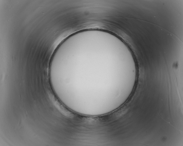 X0000112141234200908281309