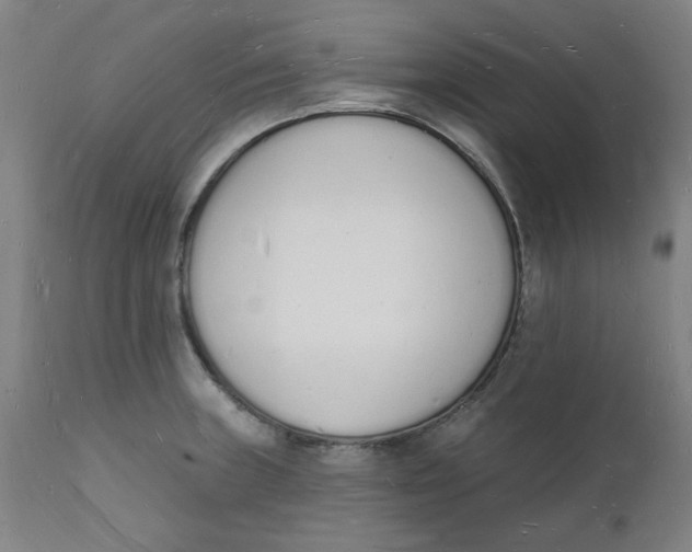 X0000112141235200908281309