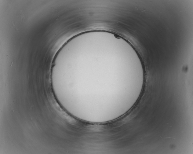 X0000112141236200908281309