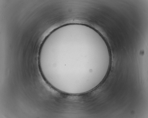 X0000112141237200908281309