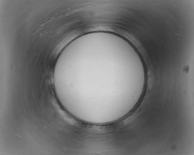 X0000112141241200908281309