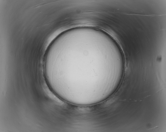 X0000112141243200908281309