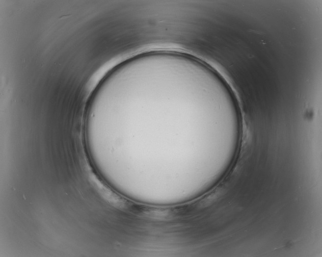 X0000112141245200908281309