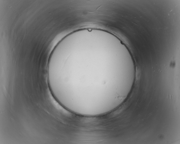 X0000112141247200908281309