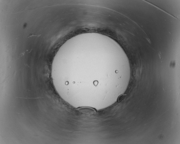 X0000112141253200908281309