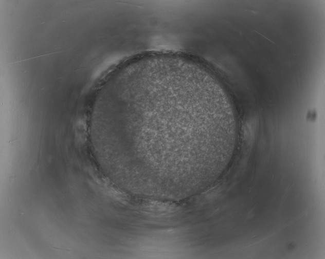 X0000112141254200908281309