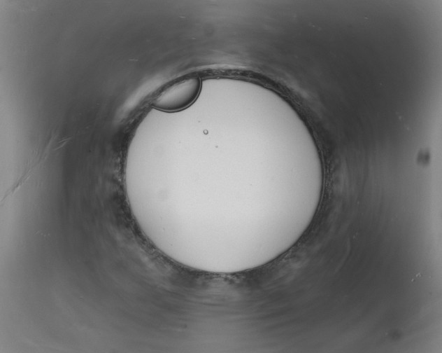 X0000112141255200908281309