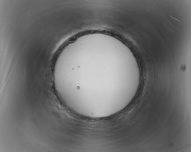 X0000112141256200908281309