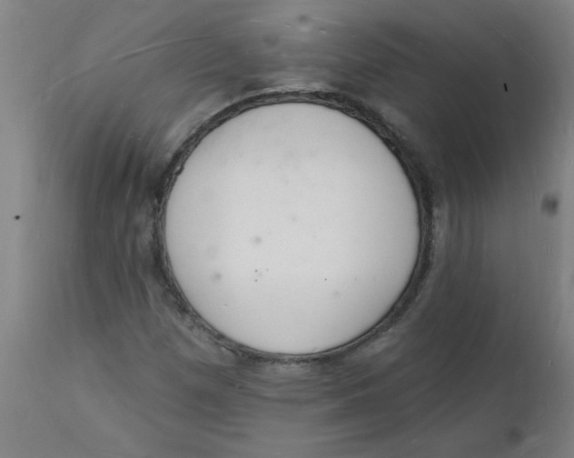 X0000112141257200908281309