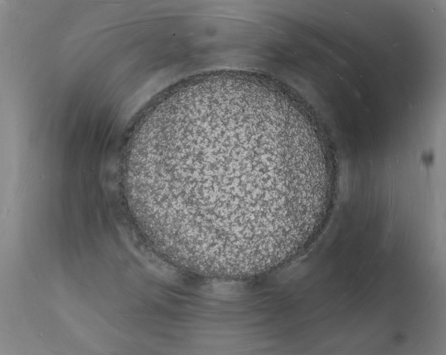 X0000112141258200908281309