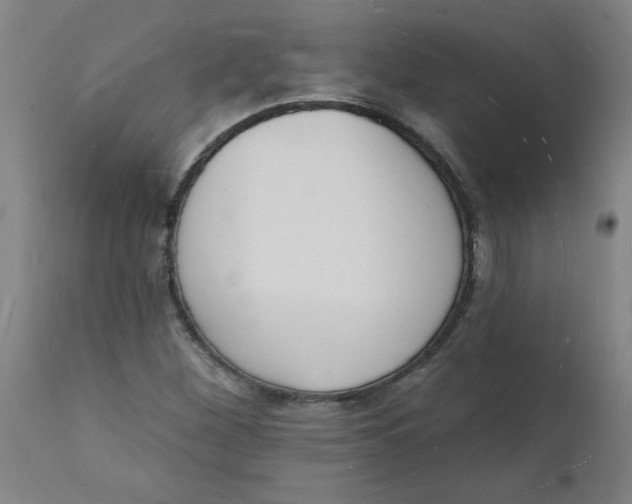 X0000112141260200908281308