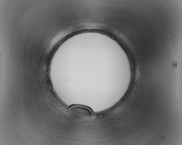 X0000112141261200908281308